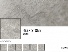 Reef Stone