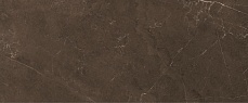 Fiori коричневая 02 плитка настенная 250х600