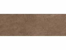 Кронштадт коричневая 00-00-5-17-00-15-2220 плитка настенная 200х600