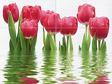 Тюльпаны светлое 64-04-21-160-0 панно 750х1000